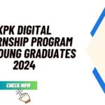 KPK Digital Internship Program for Young Graduates 2024 Apply Online